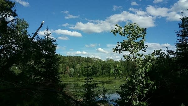 Warmer Monday and through midweek; scattered showers at times