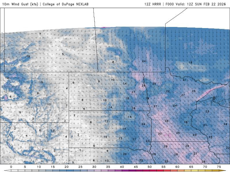 Wind speed and direction for Sunday 6 a.m. to 6 p.m.