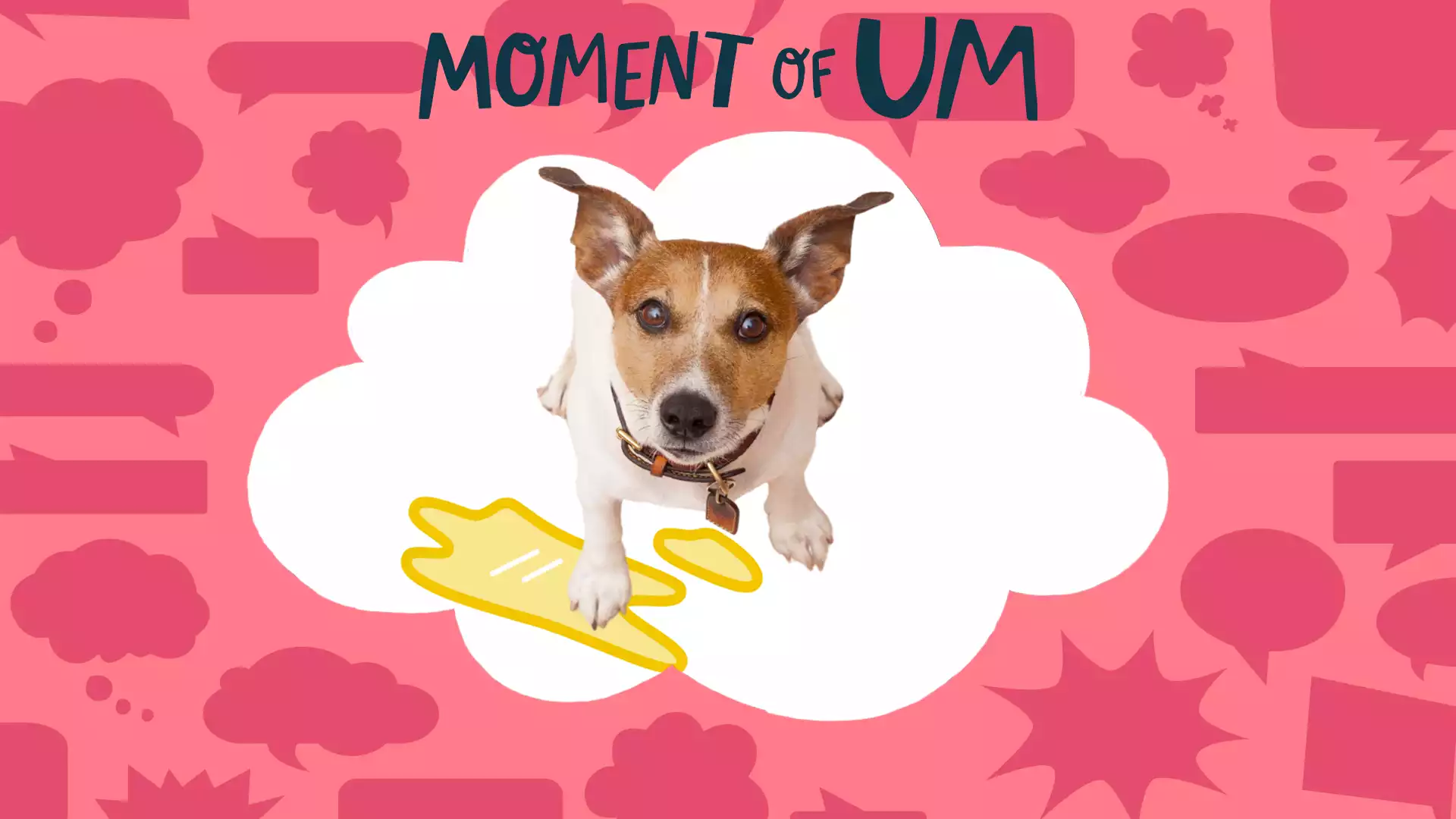 What Happens If A Dog Holds His Pee Too Long