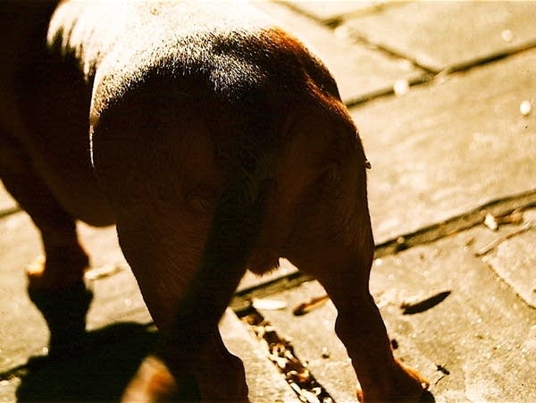 What songs do you want to hear for today's 9:30 Coffee Break?