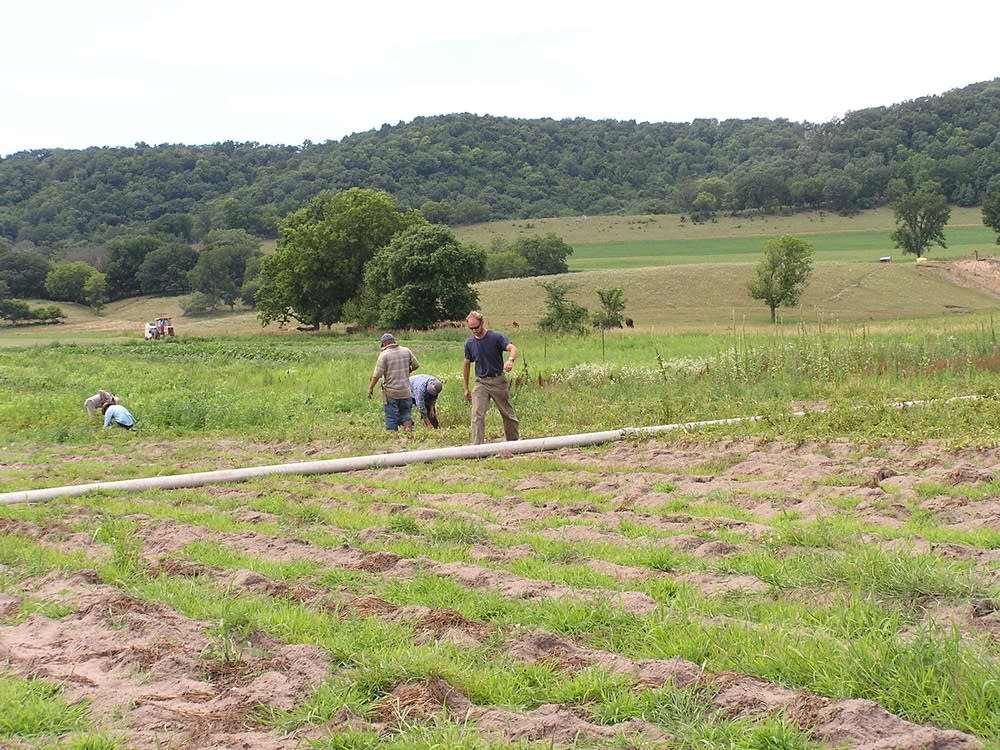 Featherstone Farms