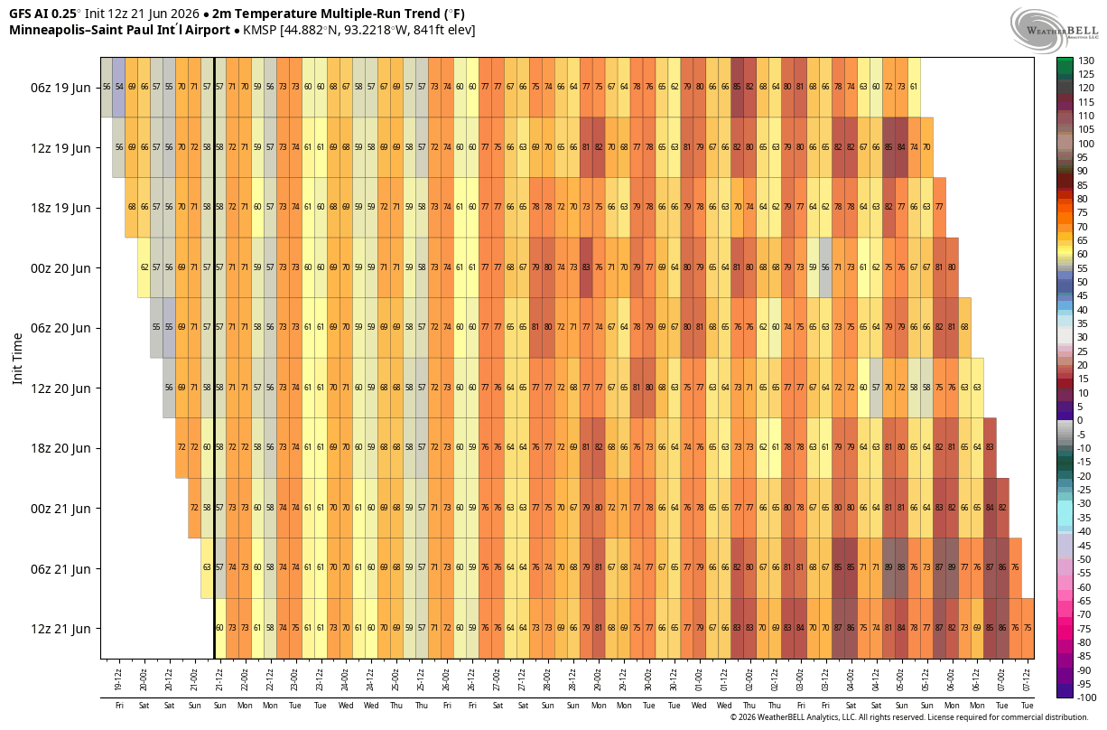 GFS AI Ensemble run for rain