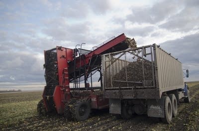 Harvester and truck