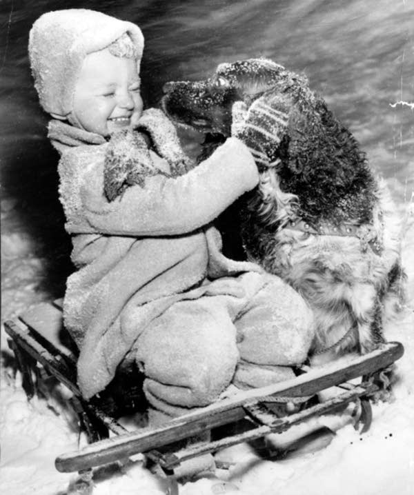 MN Historical Society working on app for people with memory loss