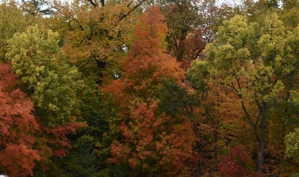 Cold start to the week, then temps warm up; 70s possible next weekend