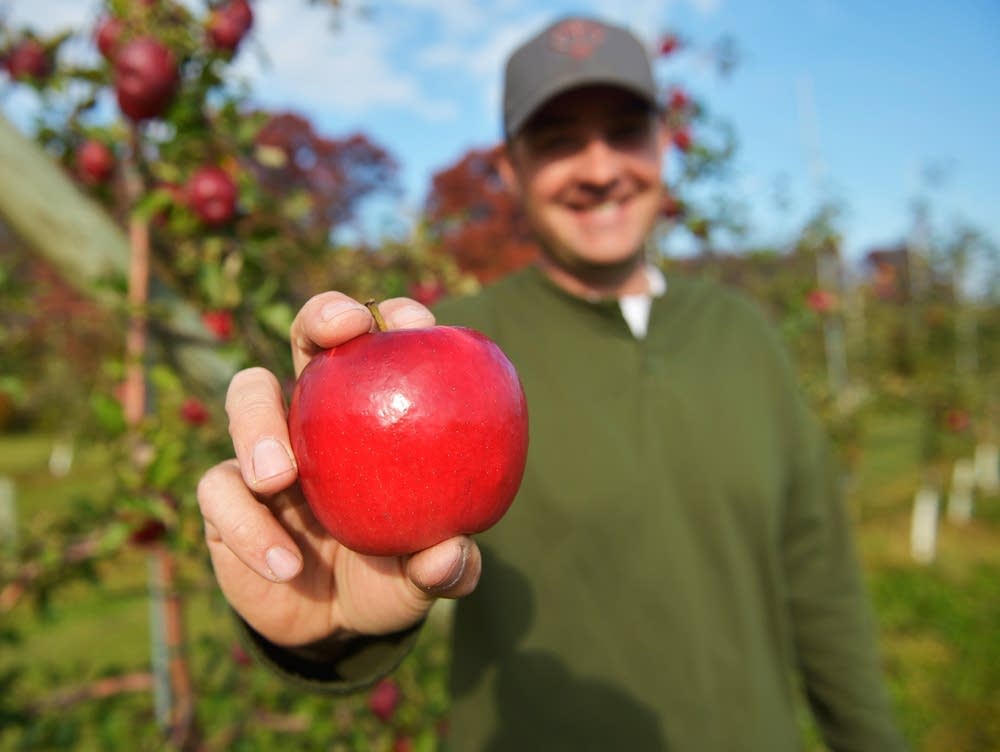 77bdeb-20141024-apple.jpg