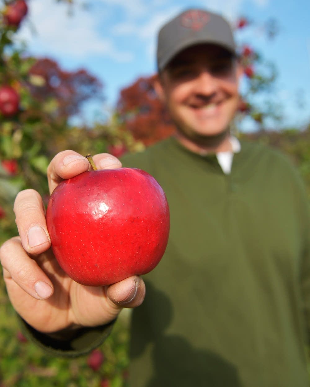 bfc68b-20141024-apple.jpg
