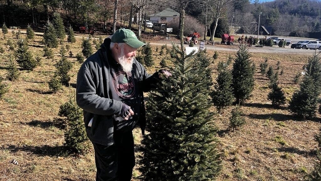 f43b00-2024-12-image-3-