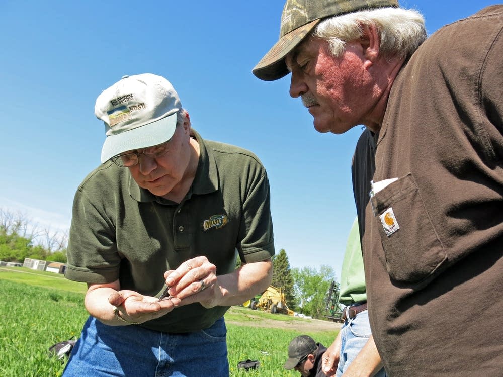 Doug Toussaint examined an earthworm.