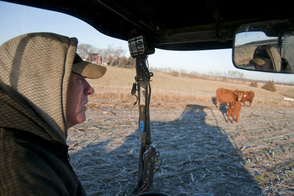 Grant Breitkreutz makes his daily rounds.