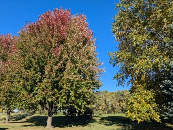 First frosts mark end of Minnesota growing season 
