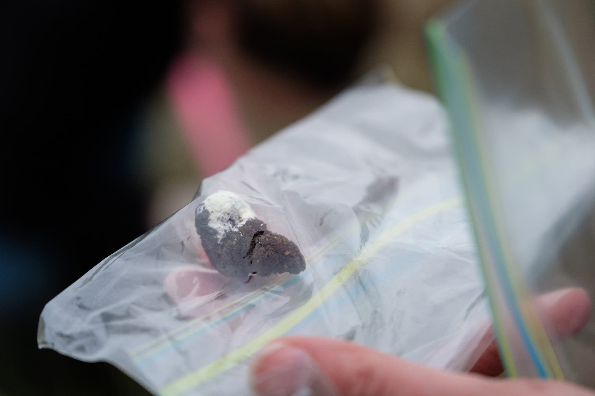 Charlotte Roy holds a bagged pellet sample.