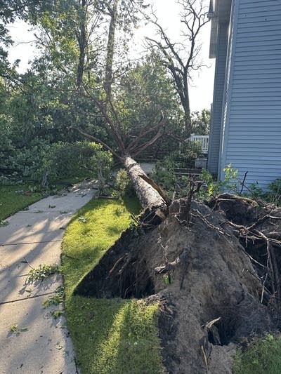 bed and breakfast damage