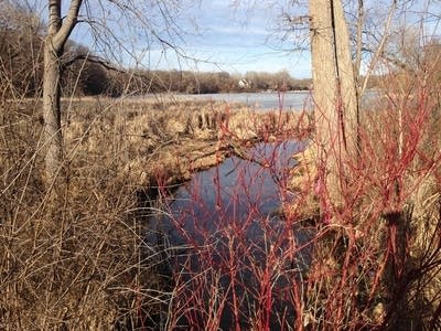 Lake Wabasso in Shoreview, Minn. on Feb. 18, 2017.