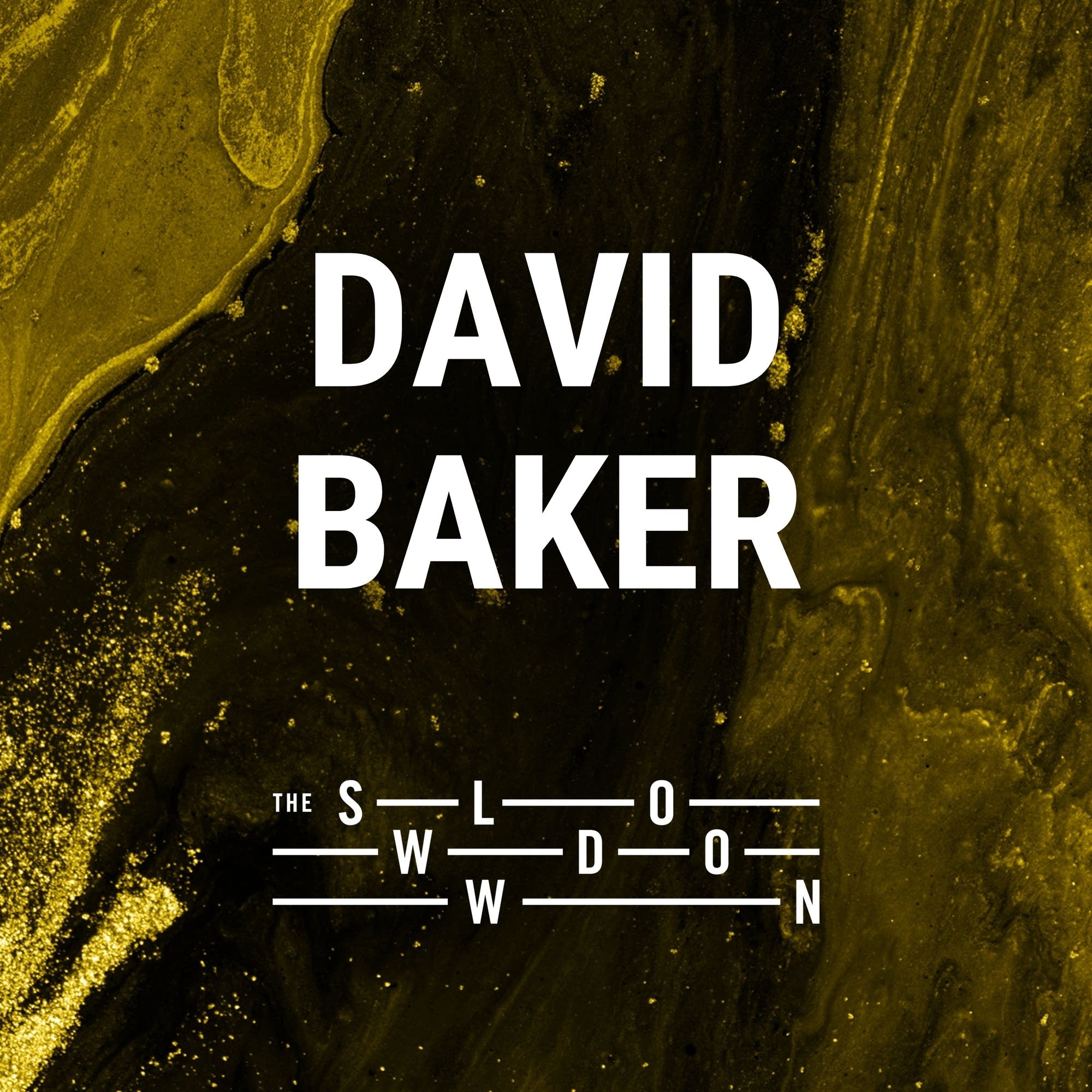 1391: Never-ending Birds by David Baker