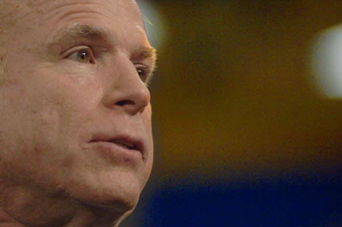 John McCain in Lakeville