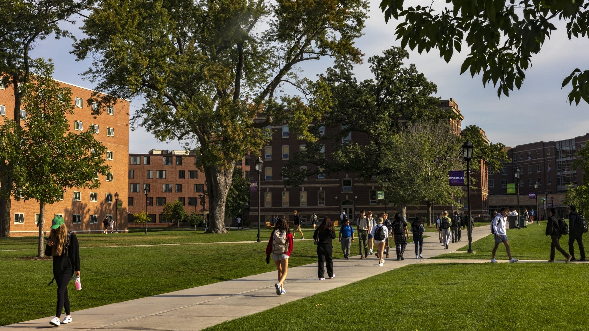 St. Thomas student quits school, apologizes for comment