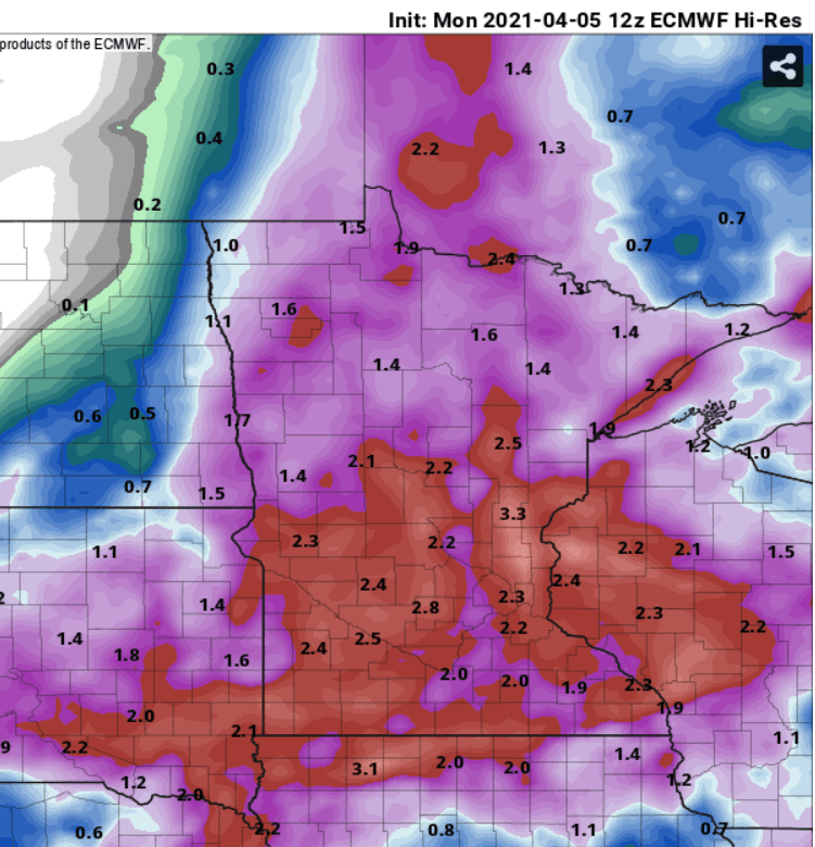 European model (ECMWF) precipitation output