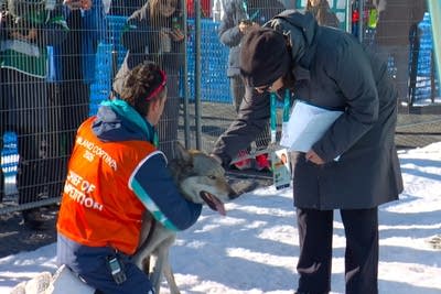 Milan Cortina Olympics Cross Country