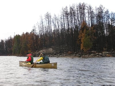 Burned shoreline