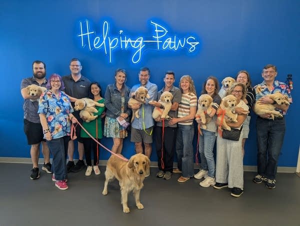 'Guided by Gilbert' litter carries on Hortmans' legacy through service dogs