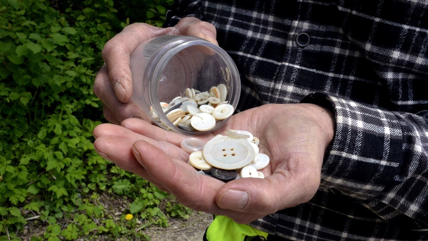 The unnatural history of Minnesota’s freshwater mussels MPR News