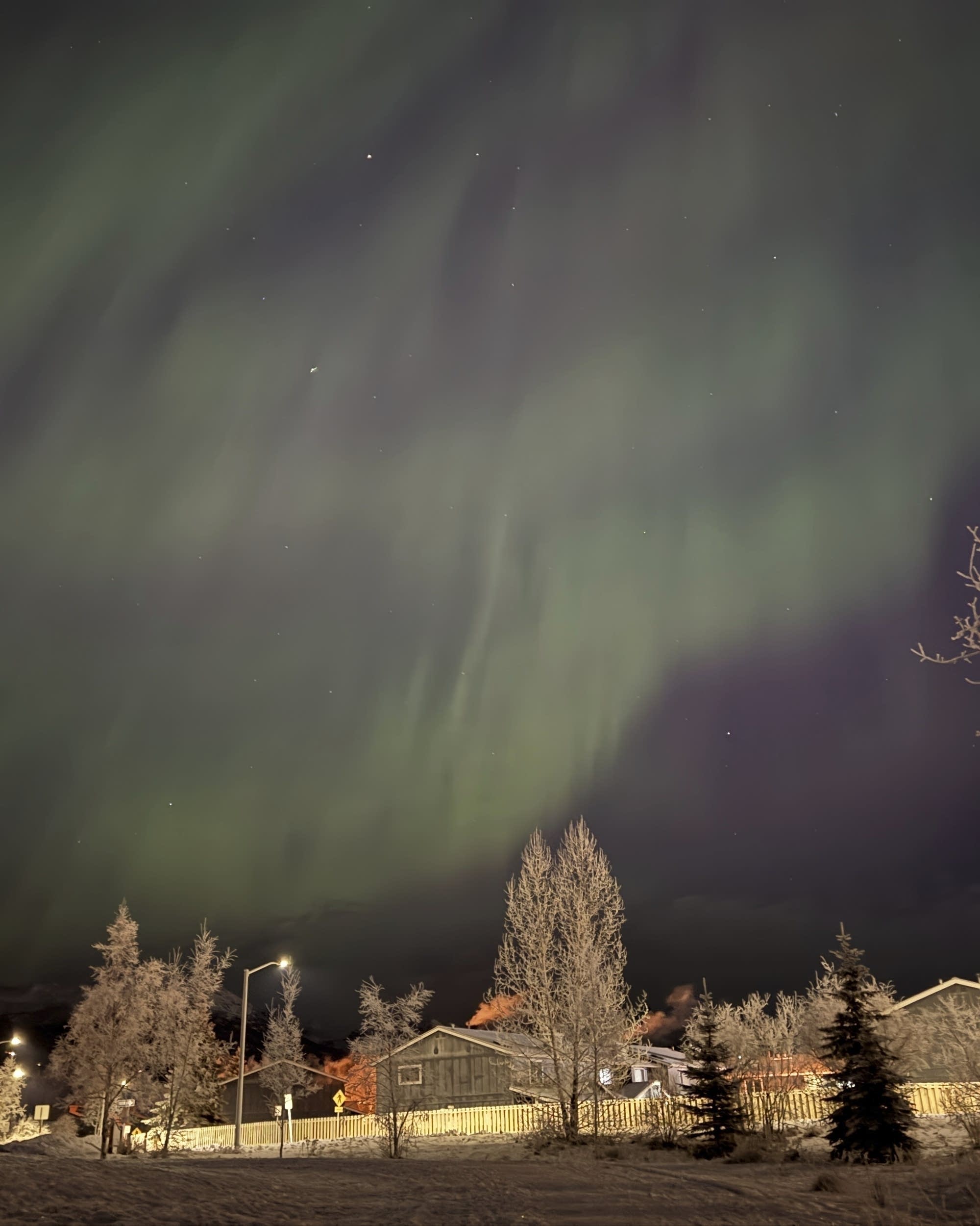 36c6c2-20250416-northern-