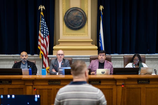 Dozens speak in favor of repealing Minneapolis ban on adult bathhouses, sex venues