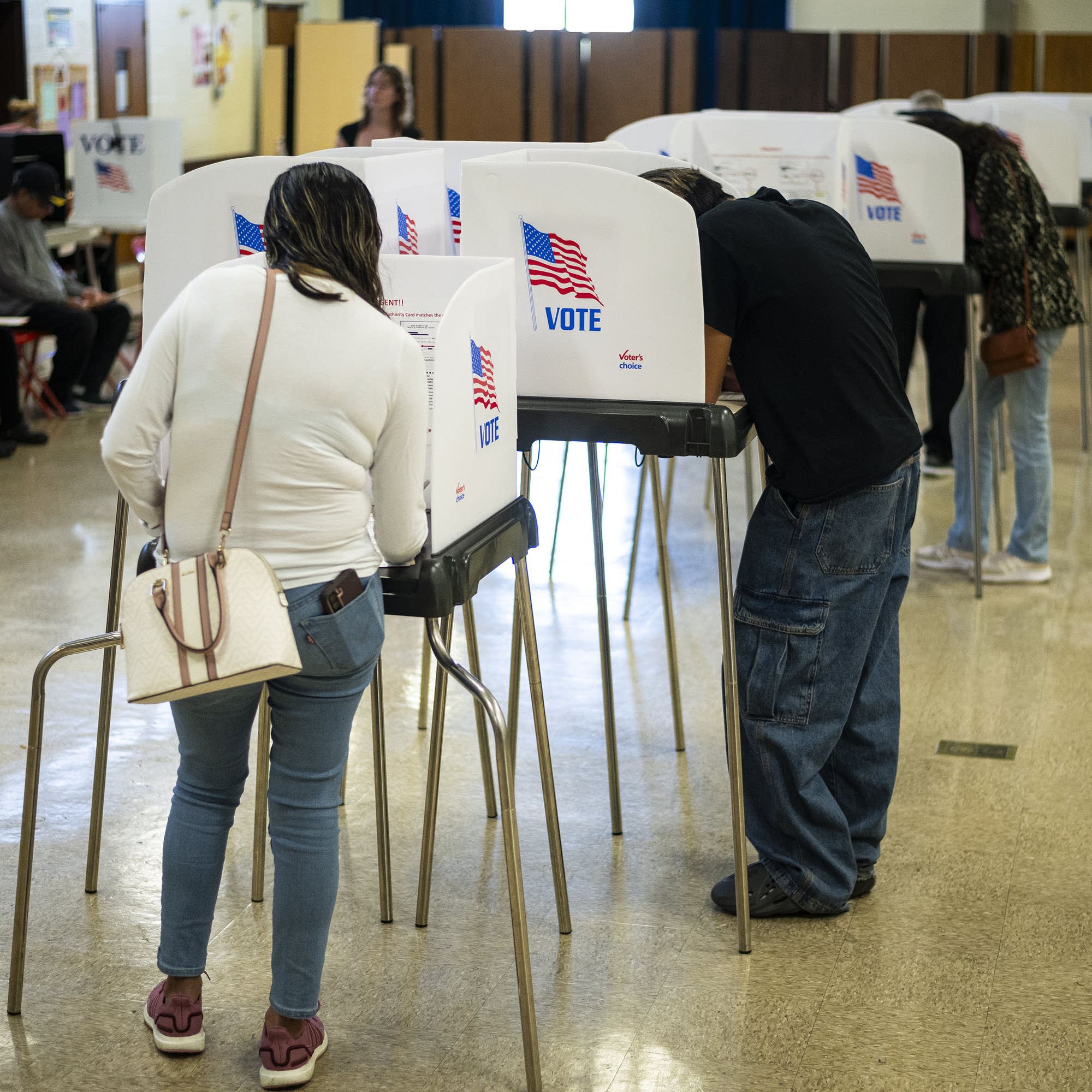 Should voters let chatbots do their election homework?