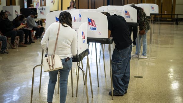 Should voters let chatbots do their election homework?