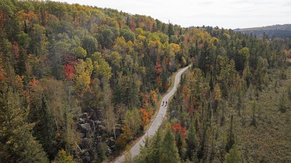 Aerial view of a trail cutting through forest in autumn.