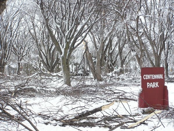 Storm damage