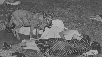 People sleep outside during the 1936 heat wave