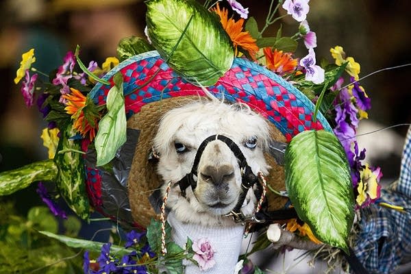 Coffee Break: Sites, sounds, smells of the Fair