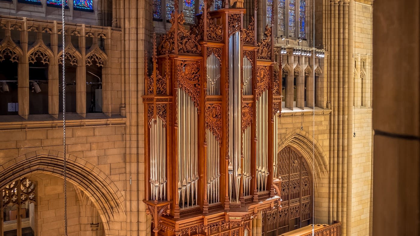 Pipedreams Pipedreams