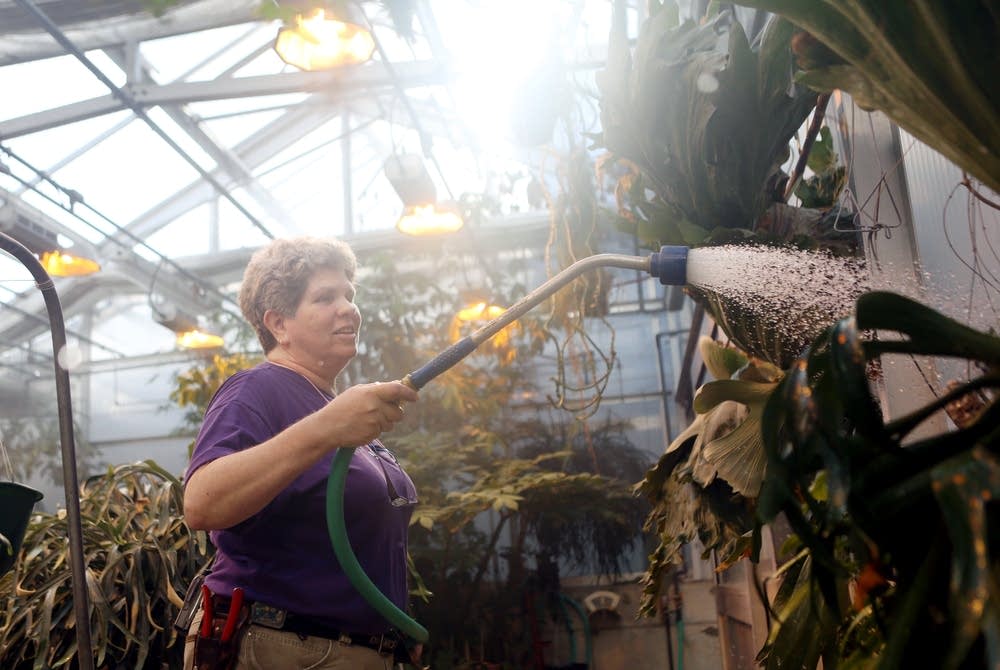 Watering plants