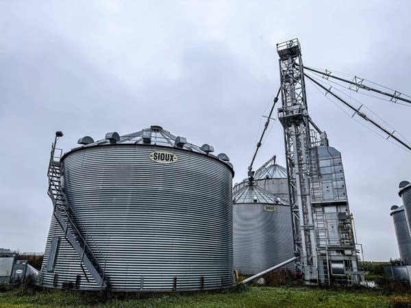 soybeans 