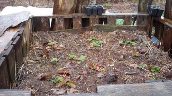 Bigger compost piles coming to Minneapolis | MPR News