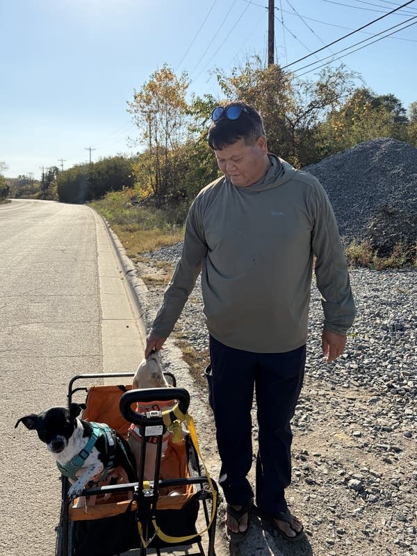 A man walks along the side of the road while pulling his dogs in a wagon.