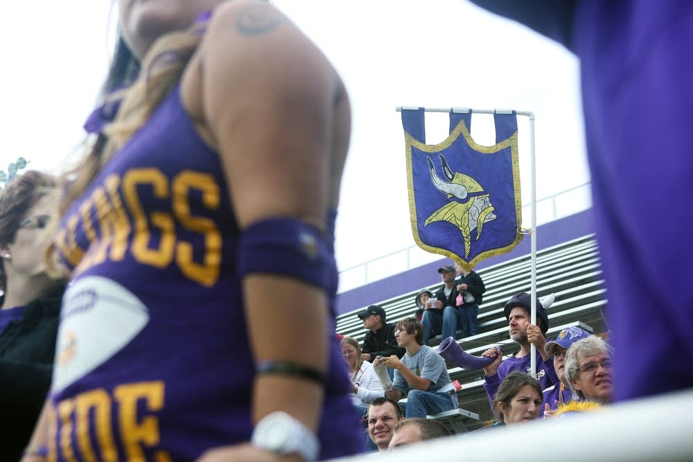 Vikings fans