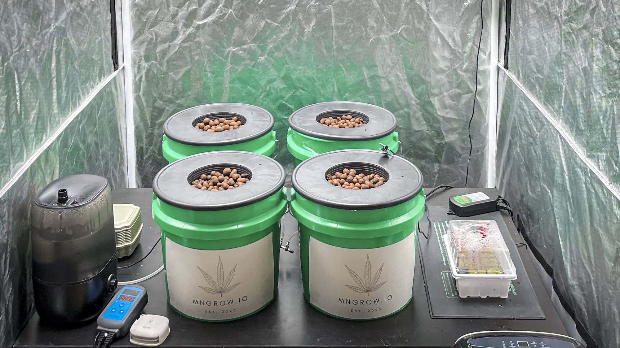 Ready, set, grow: Minnesota to enter era of legal marijuana - Vimarsana News