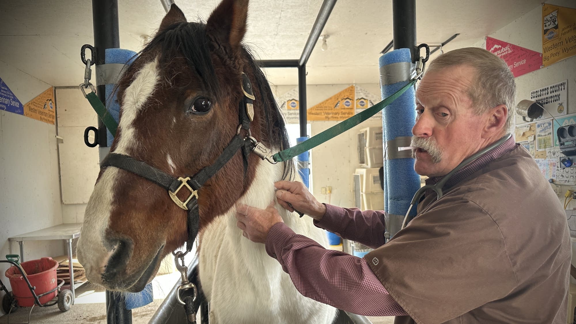 Rural veterinarian shortage is felt at small town Wyoming clinic