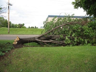 Plymouth damage