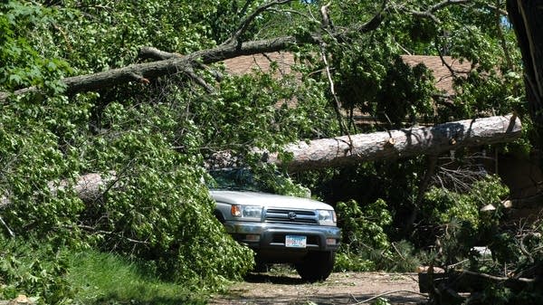 A tree fell on a pickup of Darla and Jeff Swanson.