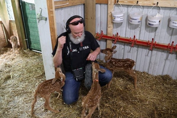 Dan Gunderson with fawns