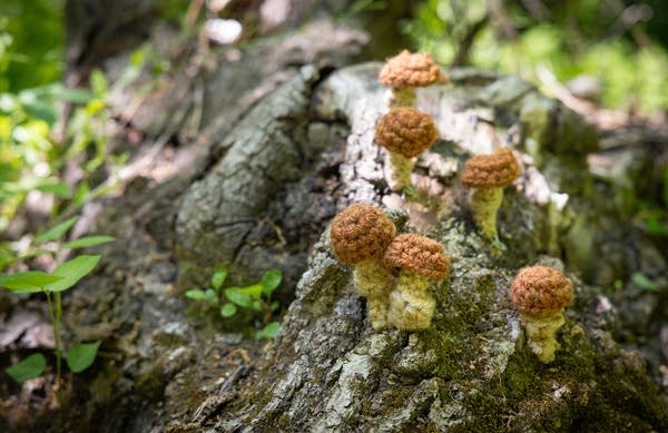 Small fungi made from cloth sit on a tree.