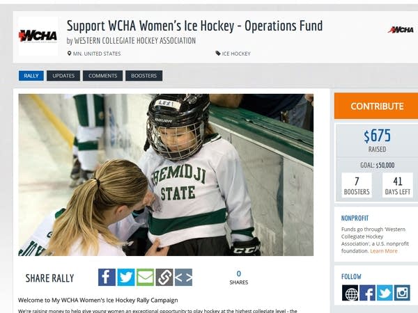 Hey buddy! Can you spare a hockey program?