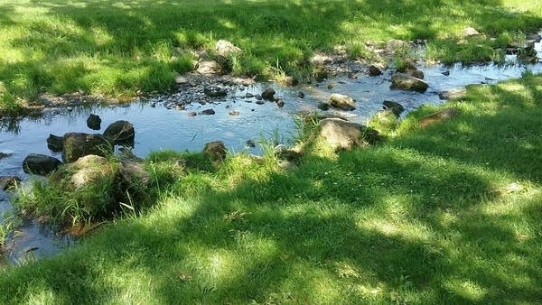 Hot and muggy Friday with areas of thunderstorms