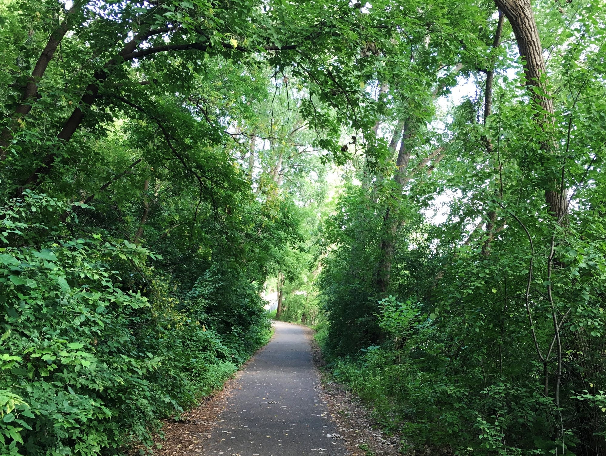 East River Flats trail along the Mississippi