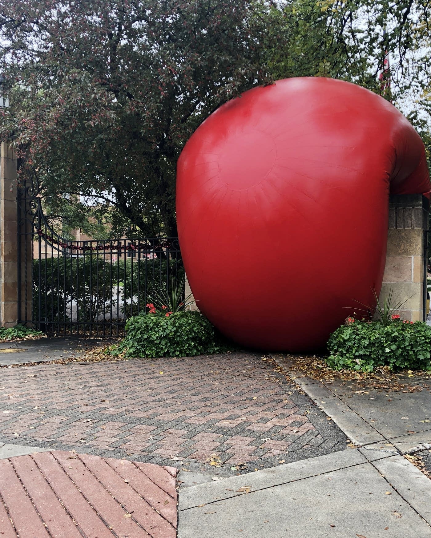 Globetrotting giant red ball lands in Fargo-Moorhead | MPR News